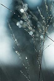 Eidos想开发《杀出重围》新作 做2077做不到的事情